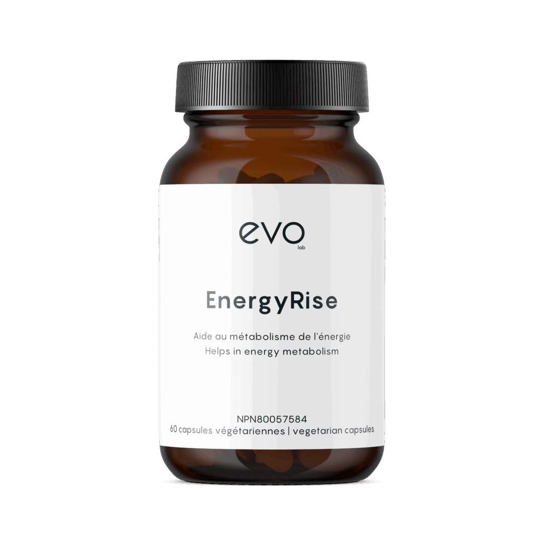 Evo Lab - EnergyRise